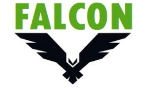 Dynamic logo